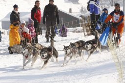 Lenk 2012 SM